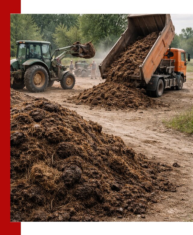 Доставка навоза самосвалами в Георгиевске для сельхозпотребностей